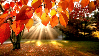 autumn 4 Autumn Hair Trends You’ll Fall in Love With
